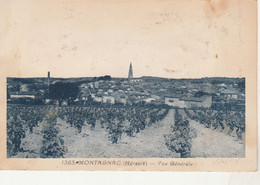 - CPA  - 34 -  MONTAGNAC - Vue Générale, Carte Décollée D'un Cahier, Voir Scan - 073 - Montagnac