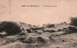 Camp De Béverloo - Vue Dans Les Dunes - Leopoldsburg (Camp De Beverloo)