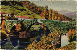CPA Le Pays Basque BIDARRAY-Le Tres Pittoresque Et Vieux Pont (411979) - Bidarray