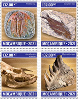 Mozambique  2021 Fossils. (303a) OFFICIAL ISSUE - Fossili