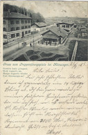 Gruss Vom Truppenübungsplatz Bei Münsingen 1905 Belebt - Muensingen