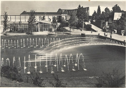 Höhenpark Killesberg Stuttgart 1952 - Schramberg