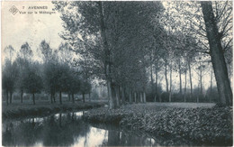 CPA Carte Postale  Belgique Avennes Vue Sur La Méhaigne  1911 VM58254ok - Braives