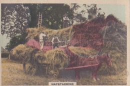 39 Haystacking - Camera Studies 1926 - Hand Coloured RP, W Verse- Cavanders Cigarette Card - 5x8 Cm - - Other Brands