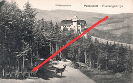 AK Petersdorf Piechowice Pension Sanatorium Baude Wilhelmshöhe Hotel Uroczysko A Schreiberhau Kiesewald Riesengebirge - Schlesien