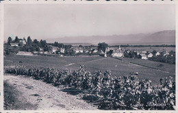 Bursins  VD, Vignes Et Village (2362) - Bursins