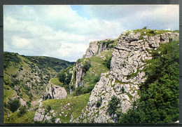 The Cheddar Gorge - Cheddar