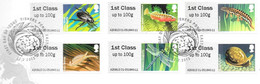 GB -  Post & GO Stamps (6)   2013  PONDS-    FDC Or  USED  "ON PIECE" - SEE NOTES  And Scans - 2011-2020 Decimal Issues