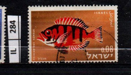 ISRAELE      1963	Pesci 0,08 Usato - Oblitérés (sans Tabs)