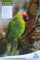 Affiche Exposition: Animaux Et Oiseaux Endémiques De Nouvelle Calédonie (Province Sud) La Pérruche De La Chaîne - Manifesti