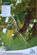 Affiche Exposition: Animaux Et Oiseaux Endémiques De Nouvelle Calédonie (Province Sud) Le Pigeon Vert - Afiches