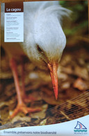 Affiche Exposition: Animaux Et Oiseaux Endémiques De Nouvelle Calédonie (Province Sud) Le Cagou - Afiches