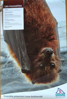 Affiche Exposition: Animaux Et Oiseaux Endémiques De Nouvelle Calédonie (Province Sud) Les Roussettes (chauve-souris) - Manifesti