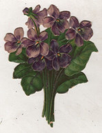 DECOUPI ANCIEN BOUQUET DE VIOLETTES / 6 X 8 CM - Fleurs