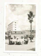 Cp,école, Musée National De L'éducation,ROUEN,INRP ,ed. Atlas , La Cour De Récréation - Scuole