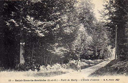 78 - SAINT-NOM-la-BRETECHE - Forêt De Marly - L'Etoile D'Adenis - St. Nom La Breteche