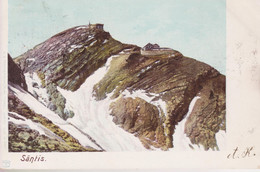 AK, Carte Postale,UPU. Drucksache 1902 Säntis Mi: 50Y / ZNr: 58B, Von St,Gallen Linsebühl N. Langgass St.Gallen - Hotels & Restaurants