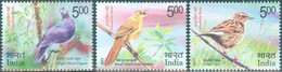 India 2017 Vulnerable Birds Endangered Animal Species Pigeon Complete 3v SET MNH As Per Scan - Moineaux