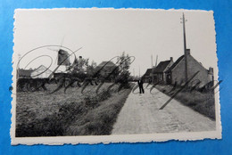 Alveringem. Lindemolenhoek  Molen Windmolen Moulin  A Vent. - Windmühlen