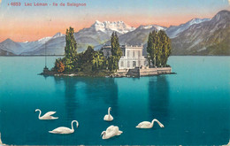 Lac Leman Ile De Salagnon Cignes 1916 - Agno