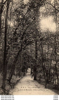 LE HAVRE. La Forêt De Montjeon. Allée Sous Bois.  2 Scans  TBE - Forêt De Montgeon