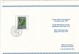 Fleurs - Muguets - Luxembourg - Document De 1977 - Oblit Luxembourg - Caritas - Storia Postale