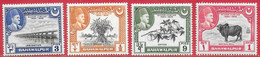 Etats Princiers De L'Inde - Bahawalpur N°18 à/to 21 Pont Blé Coton Zébu / Bridge Wheat Cotton Zebu 1949 ** - Bahawalpur