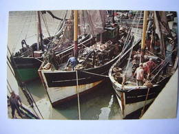 Bateau / Fishers Boats / Seen At Ostend Harbour - Pêche