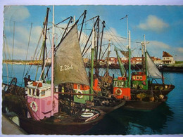 Bateau / Fishers Boats / Seen At Zeebrugge Harbour - Pêche