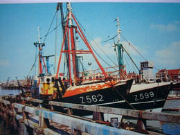 Bateau / Fishers Boats / Seen At Zeebrugge Harbour - Pêche