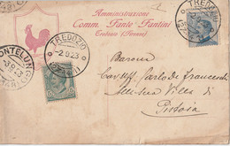CARTOLINA POSTALE 1923 C.25+5 TIMBRO TREDOZIO PONTELUNGO (ZP2174 - Storia Postale