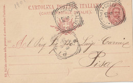 INTERO POSTALE 1901 C.10 TIMBRO COLLESALVETTI PISA (ZP2288 - Interi Postali