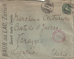 LETTERA 1895 SVIZZERA 25 F. TIMBRO HOTEL BAUR AU LAC ZURICH (ZP2375 - Storia Postale
