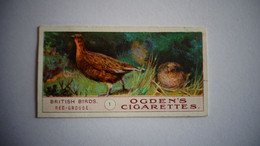 BRITISH BIRDS N° 1 RED GROUSE Oiseau Bird  Cigarettes OGDEN'S Tobacco Vignette Trading Card Chromo - Ogden's