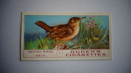 BRITISH BIRDS N° 3 WREN Oiseau Bird  Cigarettes OGDEN'S Tobacco Vignette Trading Card Chromo - Ogden's