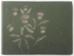 ALBUM ANCIEN POUR CARTES POSTALES ANCIENNES - DECOR OISEAU ET CHARDONS, VERT - Unclassified