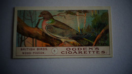 BRITISH BIRDS N° 5 WOOD PIGEON Oiseau Bird  Cigarettes OGDEN'S Tobacco Vignette Trading Card Chromo - Ogden's