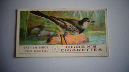 BRITISH BIRDS N° 6 PIED WAGTAIL Oiseau Bird  Cigarettes OGDEN'S Tobacco Vignette Trading Card Chromo - Ogden's