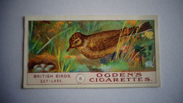 BRITISH BIRDS N° 8 SKY LARK Oiseau Bird  Cigarettes OGDEN'S Tobacco Vignette Trading Card Chromo - Ogden's