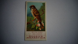 BRITISH BIRDS N° 9 TREE SPARROW Oiseau Bird  Cigarettes OGDEN'S Tobacco Vignette Trading Card Chromo - Ogden's