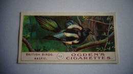 BRITISH BIRDS N° 10 MAGPIE Pie Oiseau Bird  Cigarettes OGDEN'S Tobacco Vignette Trading Card Chromo - Ogden's