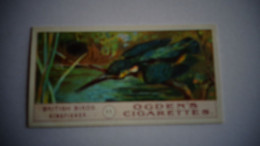 BRITISH BIRDS N° 11 KINGFISCHER Oiseau Bird  Cigarettes OGDEN'S Tobacco Vignette Trading Card Chromo - Ogden's