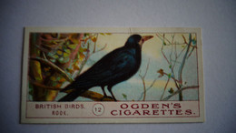 BRITISH BIRDS N° 12 ROOK Oiseau Bird  Cigarettes OGDEN'S Tobacco Vignette Trading Card Chromo - Ogden's