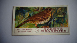 BRITISH BIRDS N° 15 SONG THRUSH  Oiseau Bird  Cigarettes OGDEN'S Tobacco Vignette Trading Card Chromo - Ogden's