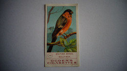 BRITISH BIRDS N° 19 BULLFINCH Oiseau Bird  Cigarettes OGDEN'S Tobacco Vignette Trading Card Chromo - Ogden's