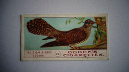 BRITISH BIRDS N° 22 CUCKOO  Oiseau Bird  Cigarettes OGDEN'S Tobacco Vignette Trading Card Chromo - Ogden's