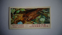 BRITISH BIRDS N° 23 HEDGE SPARROW  Oiseau Bird  Cigarettes OGDEN'S Tobacco Vignette Trading Card Chromo - Ogden's