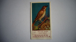 BRITISH BIRDS N° 25 NIGHTINGALE Oiseau Bird  Cigarettes OGDEN'S Tobacco Vignette Trading Card Chromo - Ogden's