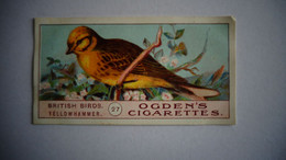 BRITISH BIRDS N° 27 YELLOWHAMMER  Oiseau Bird  Cigarettes OGDEN'S Tobacco Vignette Trading Card Chromo - Ogden's