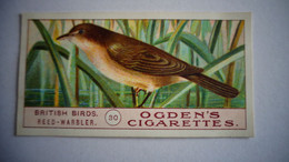 BRITISH BIRDS N° 30 REED WARBLER Oiseau Bird  Cigarettes OGDEN'S Tobacco Vignette Trading Card Chromo - Ogden's